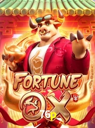 76P.COM
